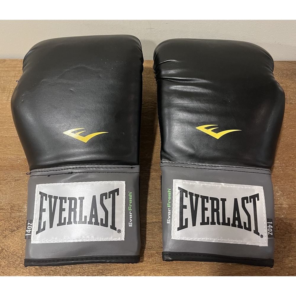 Everlast TA:14 Pro Style Training Boxing Gloves 14 oz Black Gray w/ Mesh Bag